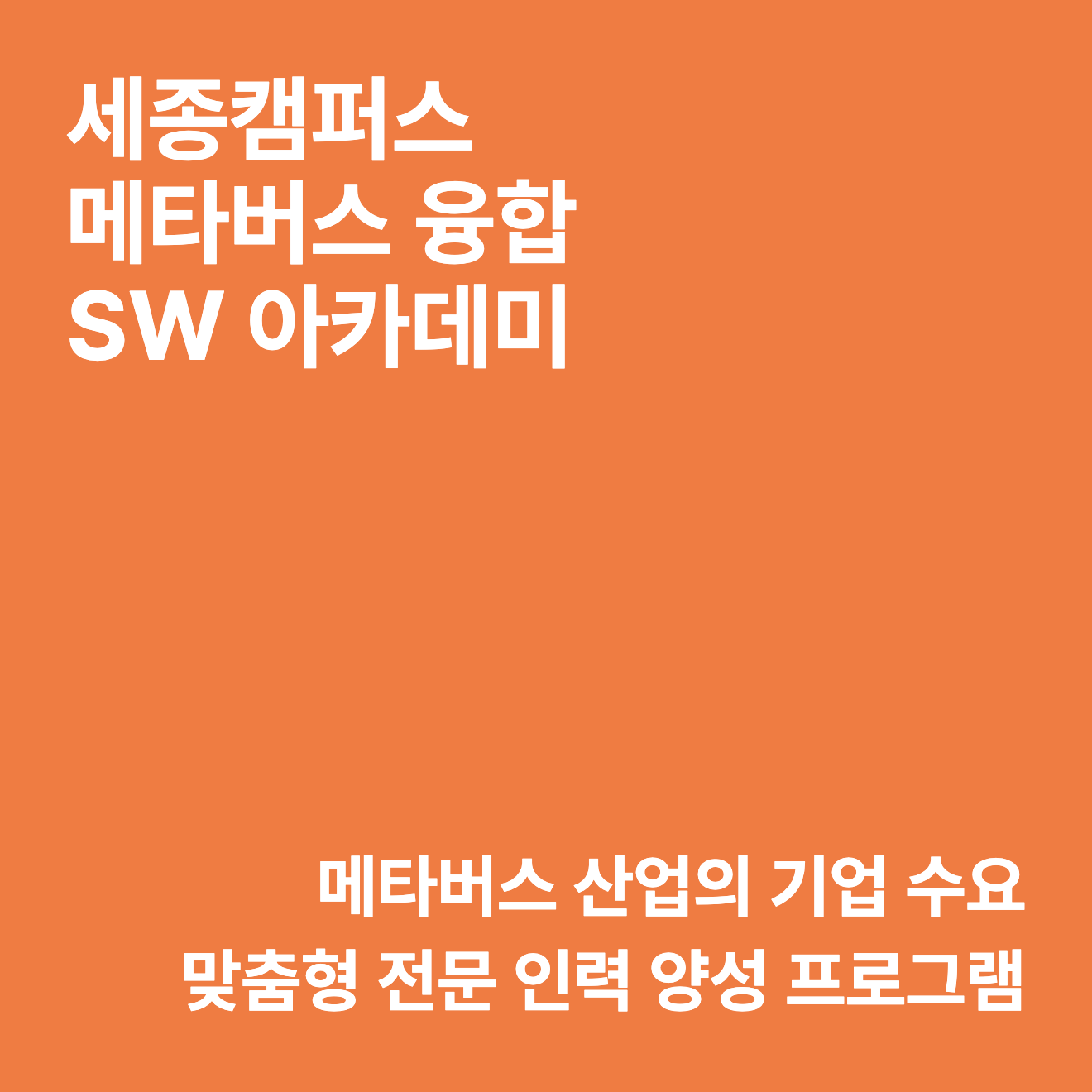 홍익대학교 세종캠퍼스 메타버스 융합 SW 아카데미