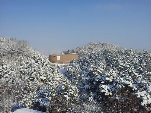 세종캠퍼스 홍익아트홀 겨울 풍경  사진